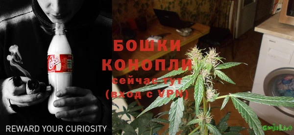 гашик Баксан